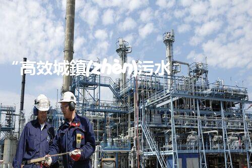 “高效城鎮(zhèn)污水處理流程，守護(hù)碧水藍(lán)天新篇章”